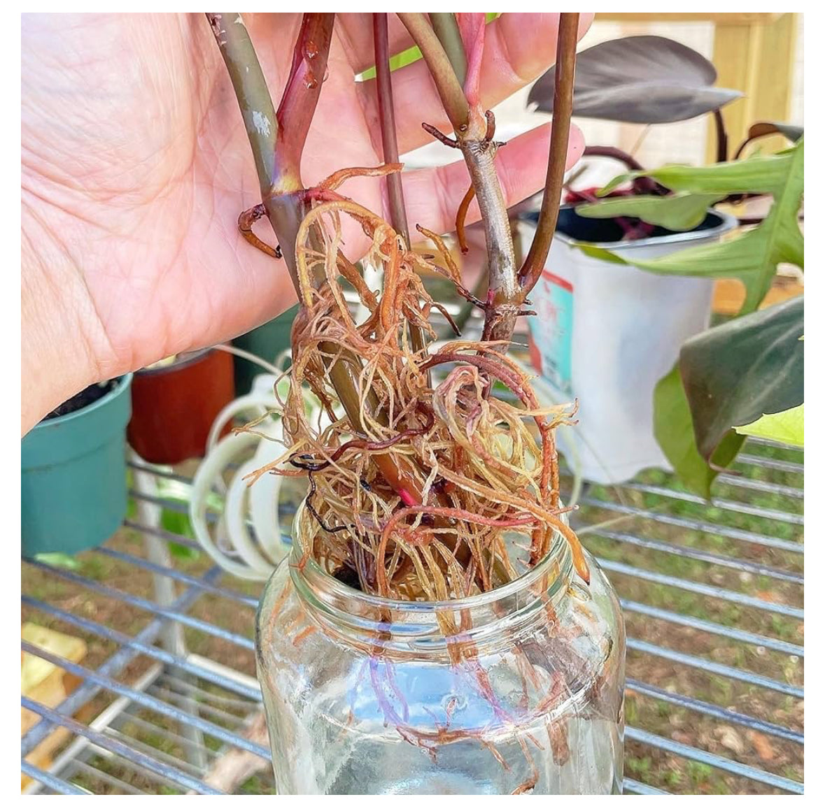Prop Drops