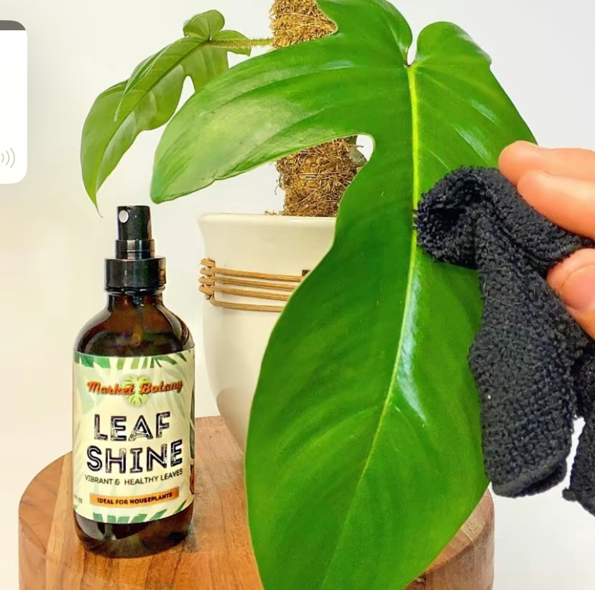 Leaf Shine Spray